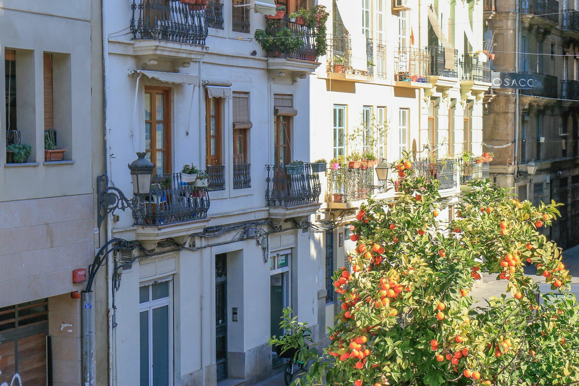 Ecobet Apartments Valencia Exterior foto